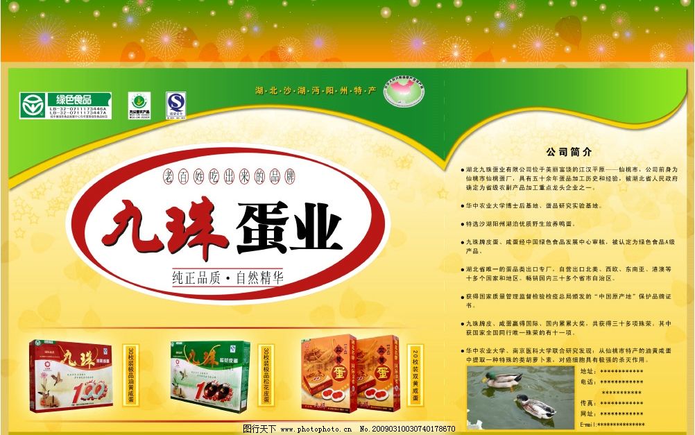 九珠蛋業(yè)綠色食品廣告設(shè)計(jì) 皮蛋與咸蛋的魅力呈現(xiàn)